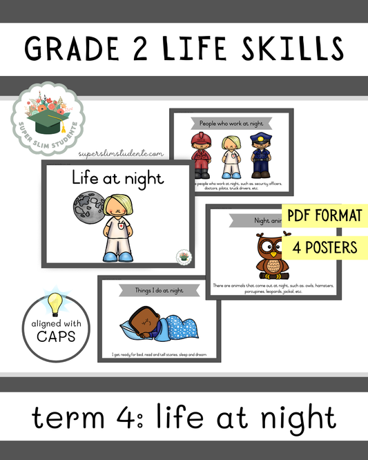 Grade 2 Term 4: Life at night [Choose Language]