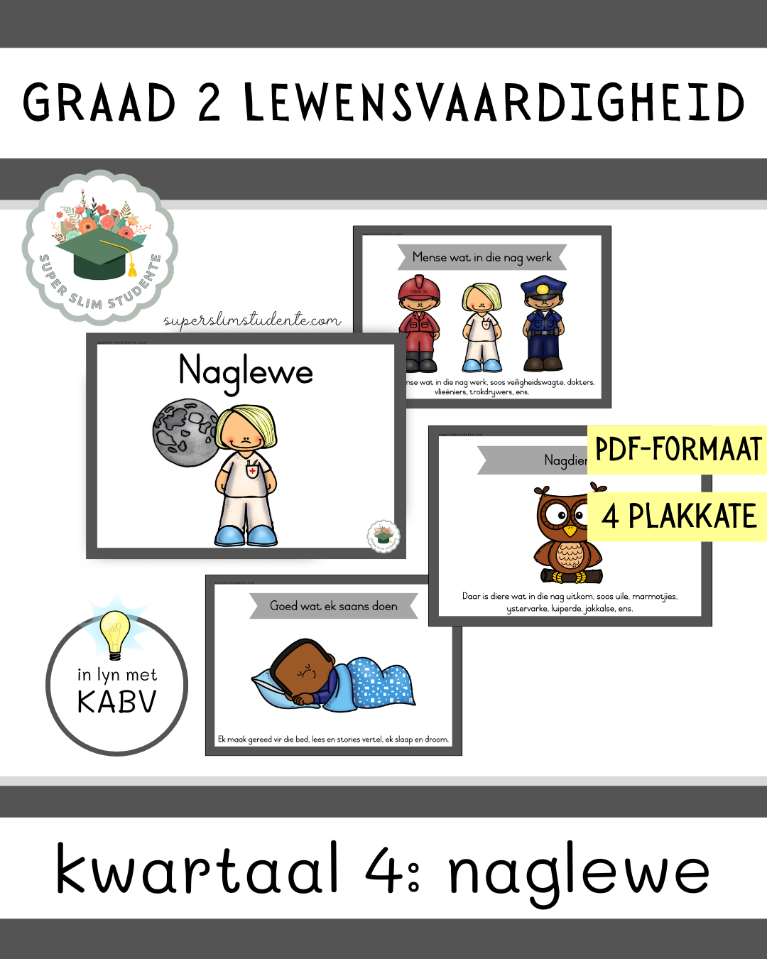 Grade 2 Term 4: Life at night [Choose Language]