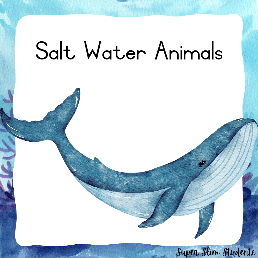 Salt Water Animals (CAPS GRADE 2 / TERM 2 / LIFE SKILLS) – Super Slim ...