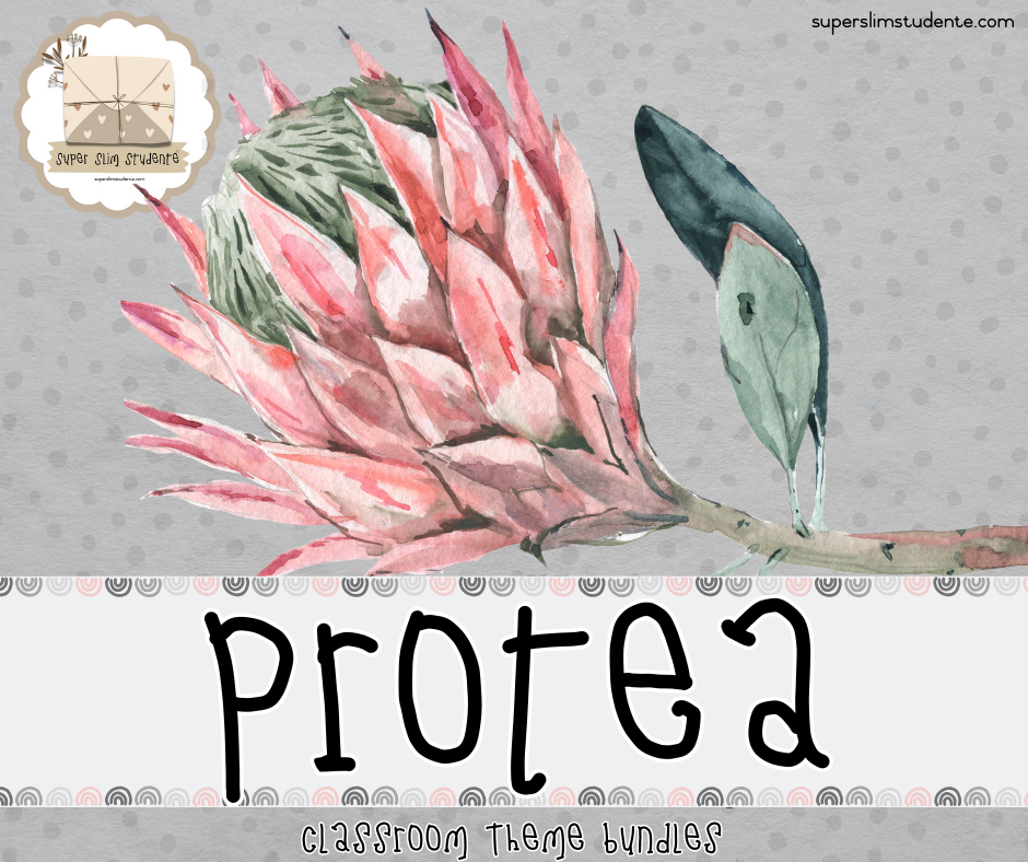 Protea Grey [Theme Bundles]