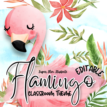 Flamingo Classroom Theme (Editable Version)