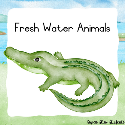 Fresh Water Animals (CAPS GRADE 2 / TERM 2 / LIFE SKILLS)