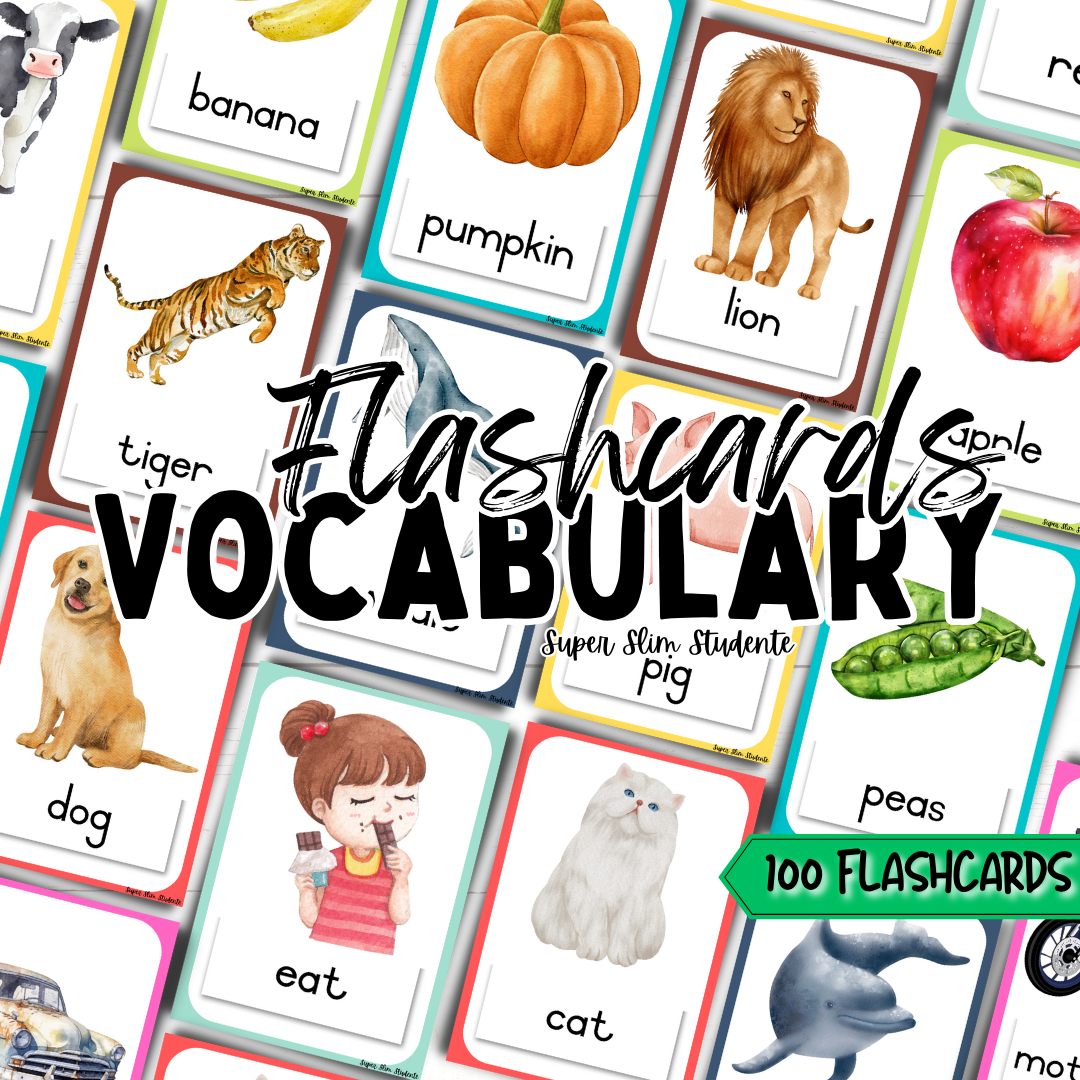 100 Vocabulary Flashcards (A5) – Super Slim Studente