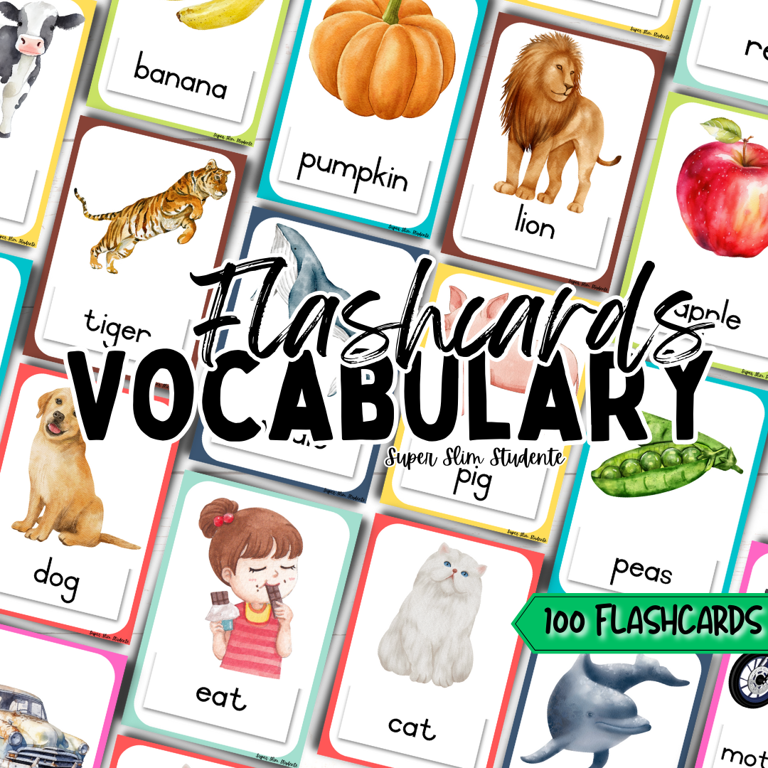 100 Vocabulary Flashcards (Choose Language) – Super Slim Studente