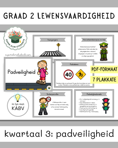 Grade 2 Term 3: Road Safety [Choose Language]