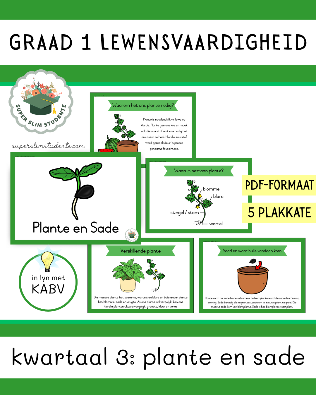 Grade 1 Term 3: Plants and Seeds [Choose Language]