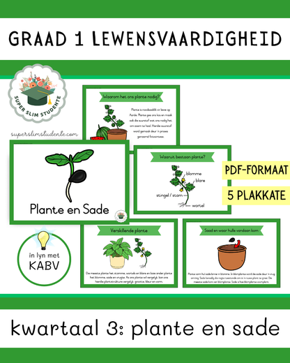 Grade 1 Term 3: Plants and Seeds [Choose Language]