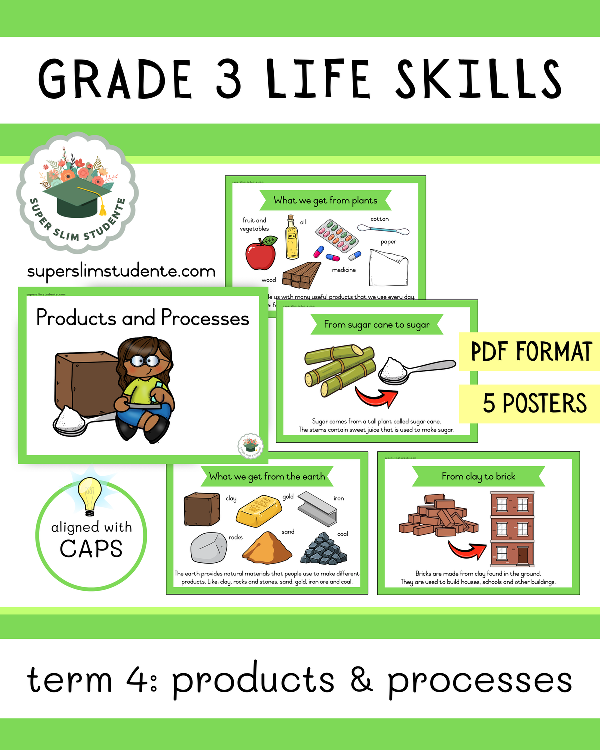 Grade 3 Term 4: Products and Processes [Choose Language]