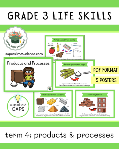Grade 3 Term 4: Products and Processes [Choose Language]
