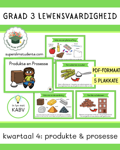 Grade 3 Term 4: Products and Processes [Choose Language]