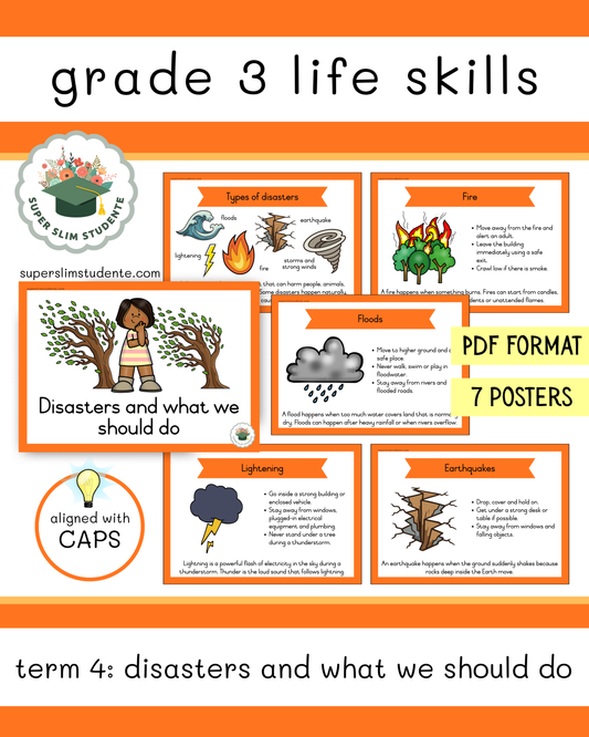 Grade 3 Term 4: Disasters and what we should do [Choose Language]
