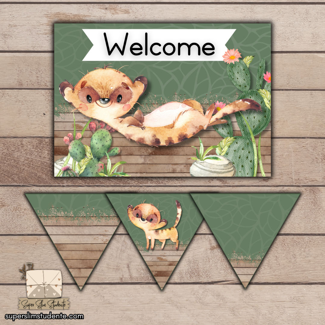 Meerkat Classroom Theme (Foundation Phase)