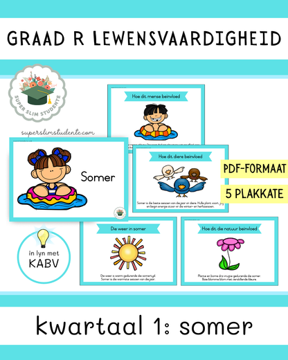 Grade R Term 1: Summer [Choose Language]