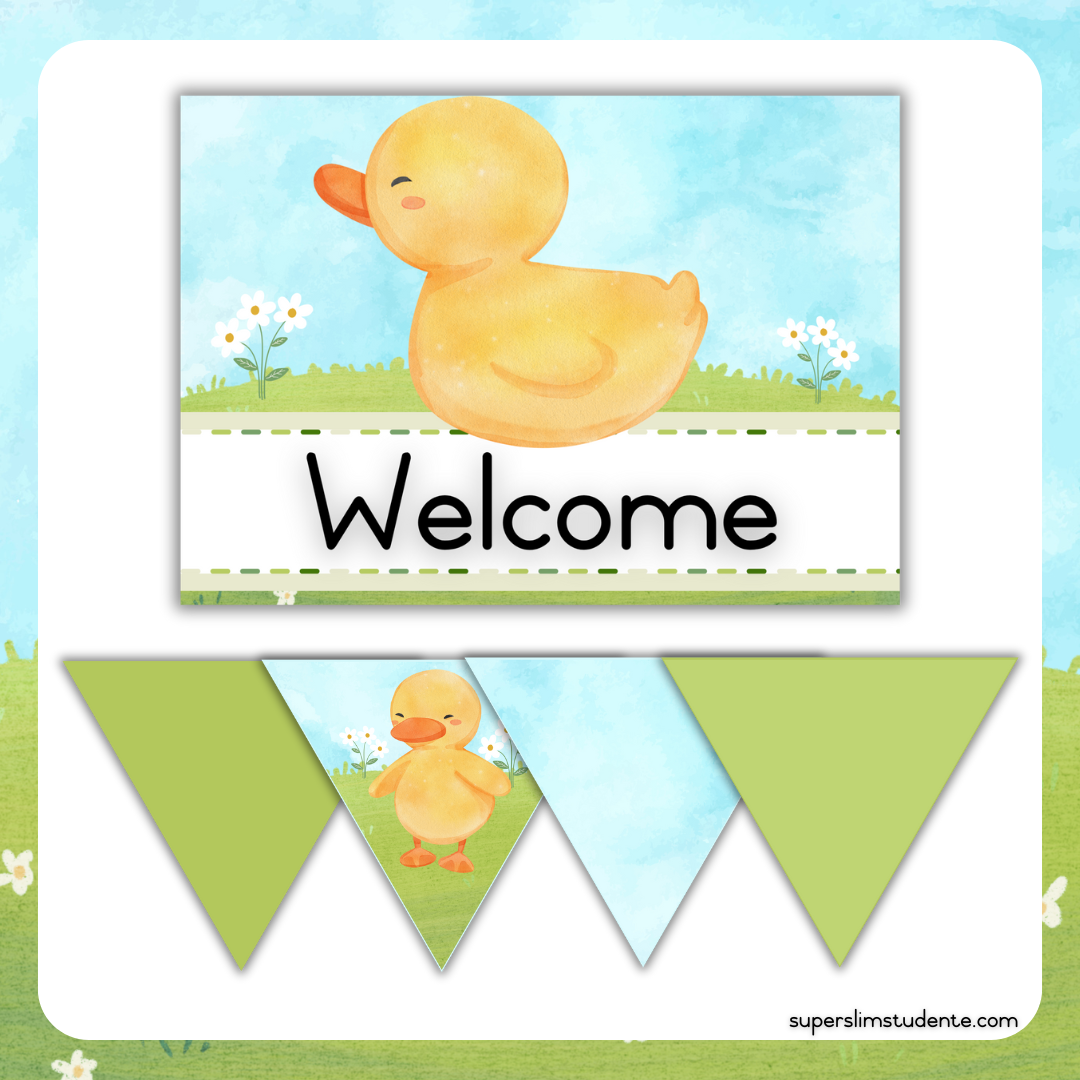 Cute Duckies Classroom Theme (Foundation Phase)