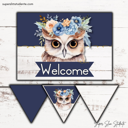 Modern Owl Classroom Theme (Foundation Phase)