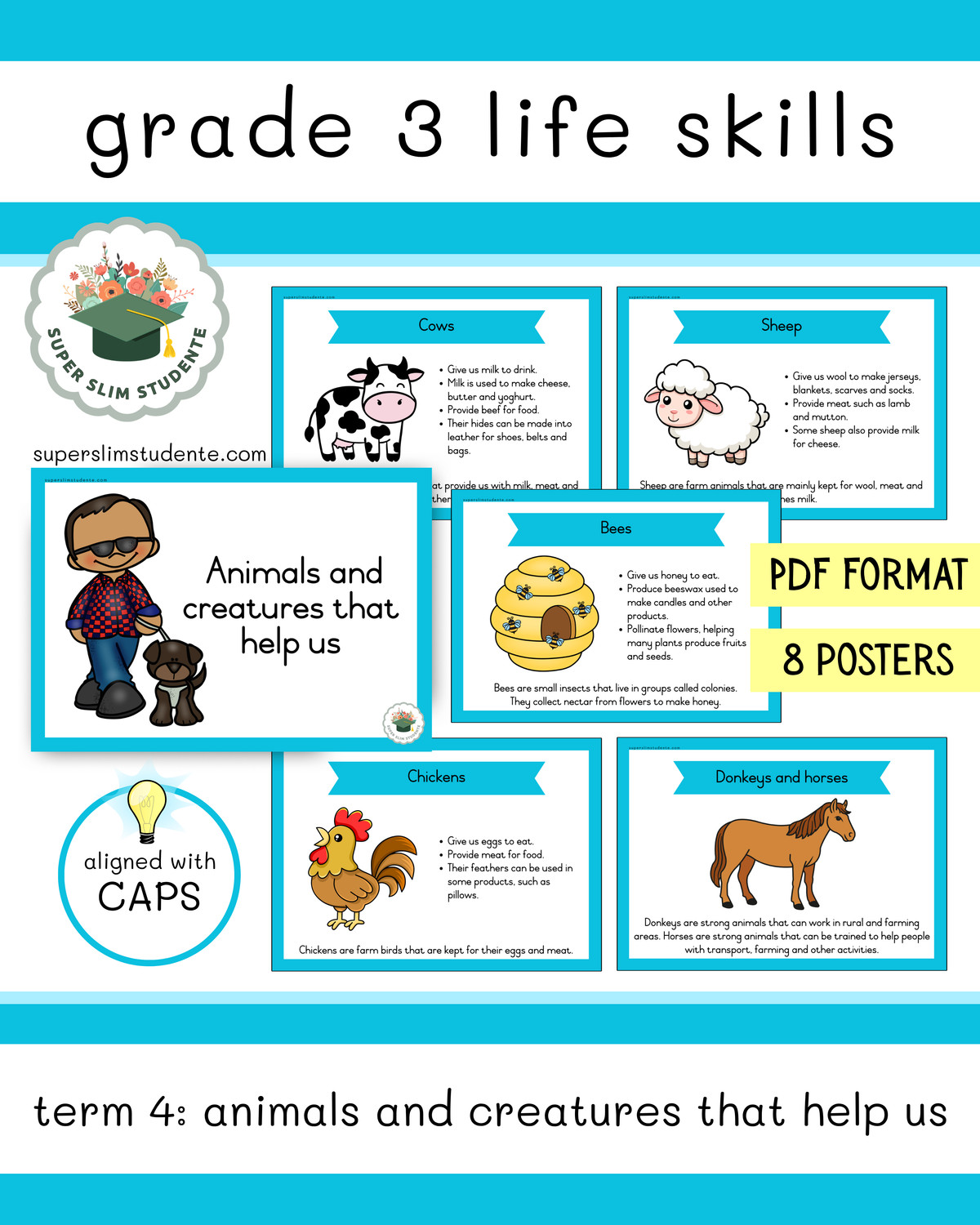 Grade 3 Term 4: Animals and creatures that help us [Choose Language]