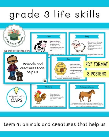 Grade 3 Term 4: Animals and creatures that help us [Choose Language]