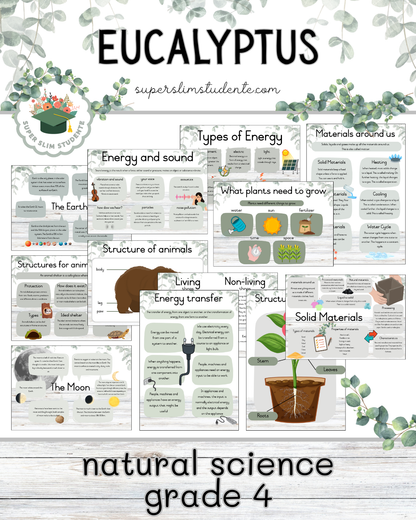 Eucalyptus Theme / NS Grade 4 Bundle [Choose Language]