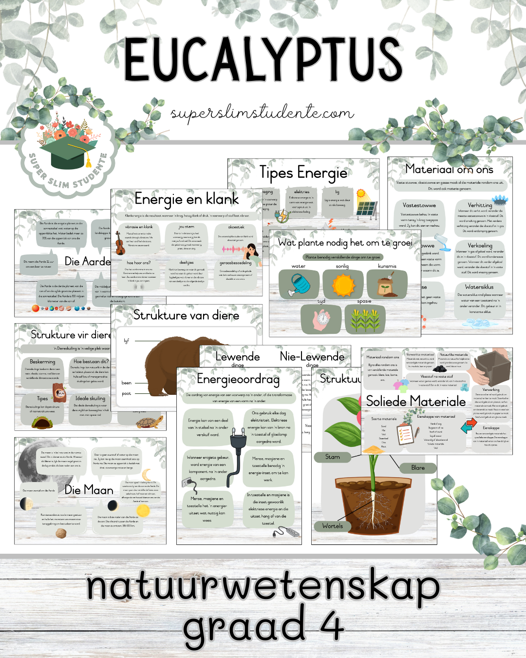Eucalyptus Theme / NS Grade 4 Bundle [Choose Language]