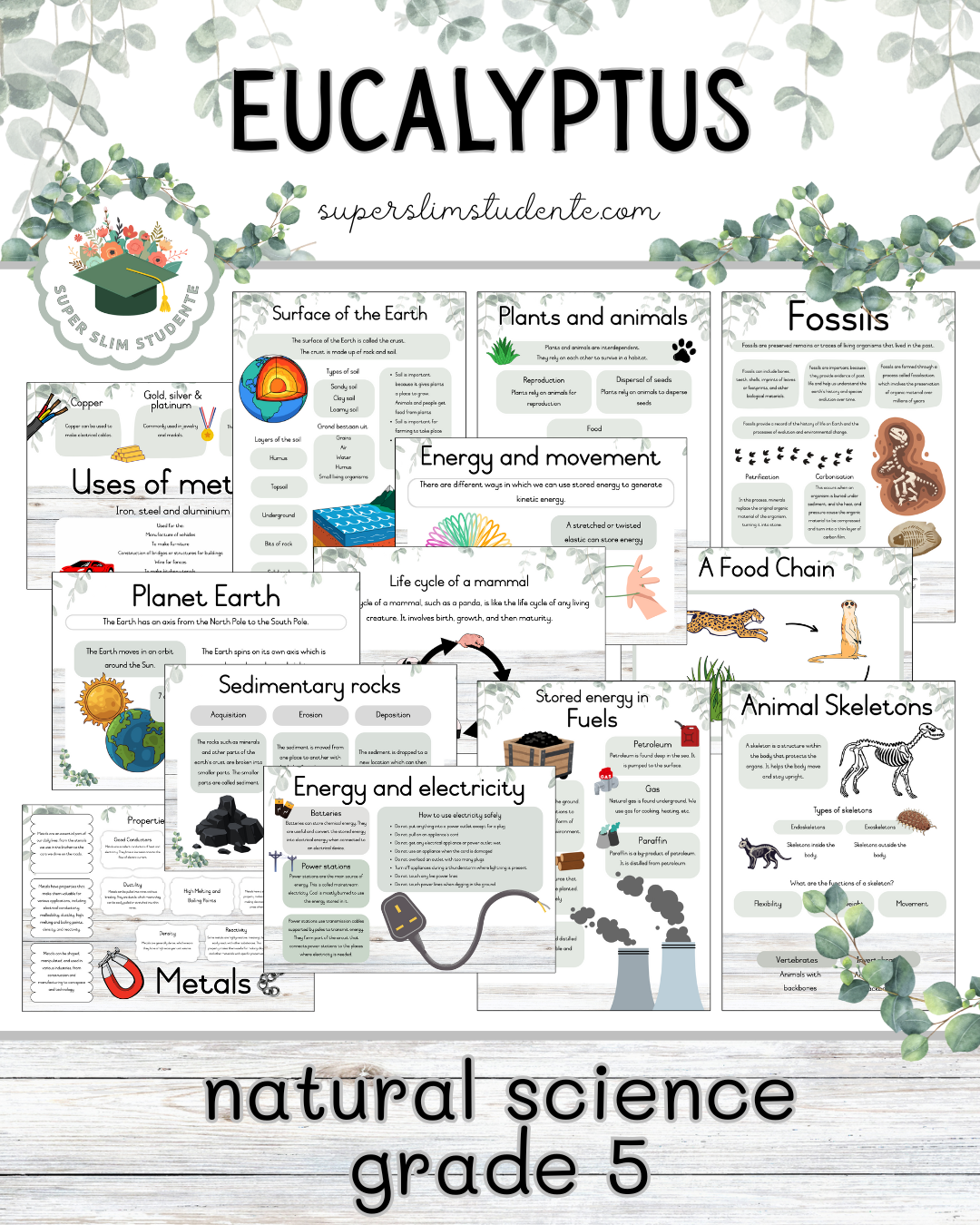 Eucalyptus Theme / NS Grade 5 Bundle [Choose Language]