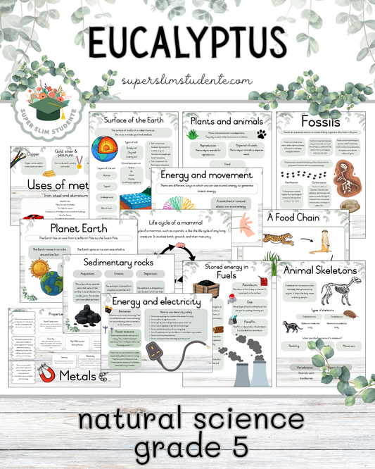 Eucalyptus Theme / NS Grade 5 Bundle [Choose Language]