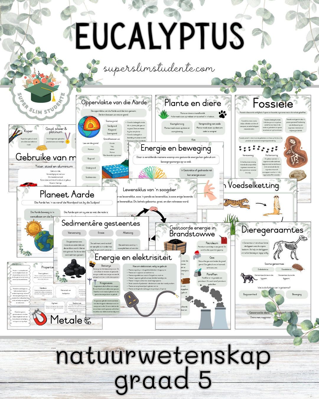 Eucalyptus Theme / NS Grade 5 Bundle [Choose Language]