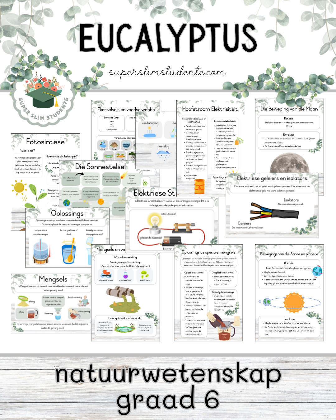 Eucalyptus Theme / NS Grade 6 Bundle [Choose Language]