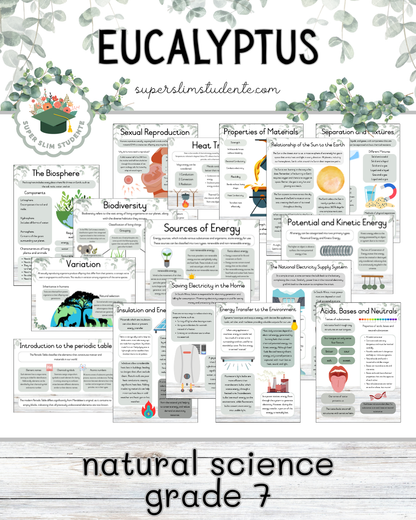 Eucalyptus Theme / NS Grade 7 Bundle [Choose Language]