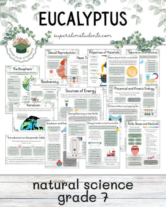 Eucalyptus Theme / NS Grade 7 Bundle [Choose Language]