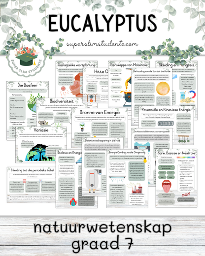 Eucalyptus Theme / NS Grade 7 Bundle [Choose Language]