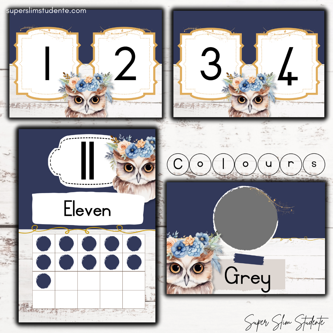 Modern Owl Classroom Theme (Foundation Phase)