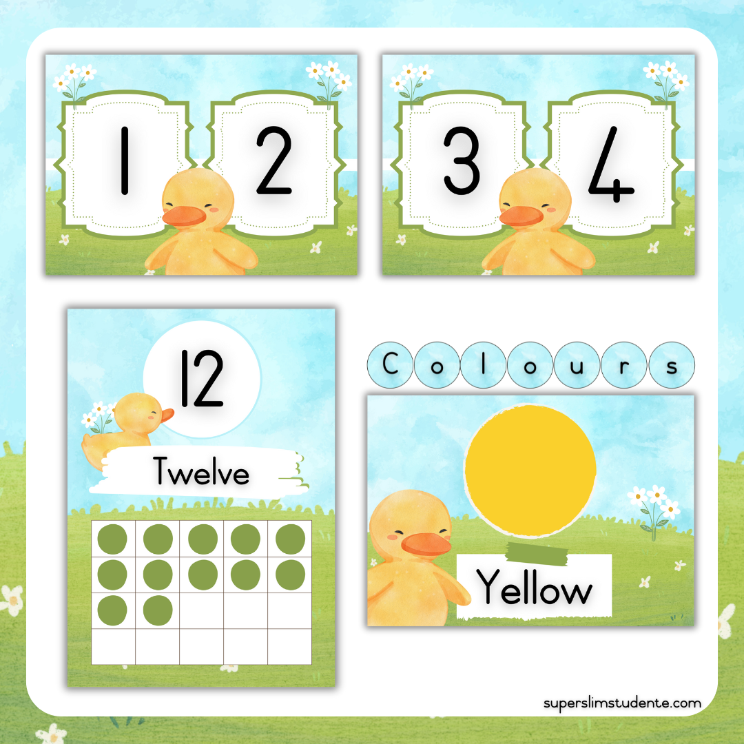 Cute Duckies Classroom Theme (Foundation Phase)