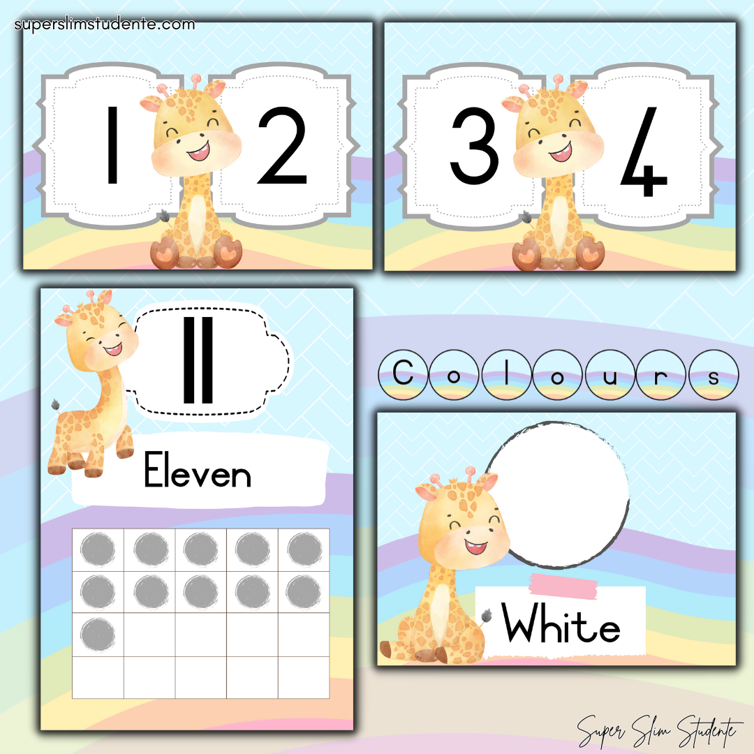 Rainbow Giraffe Classroom Theme (Foundation Phase)