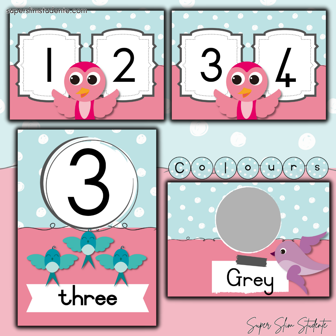 Bird Classroom Theme (Preschool)