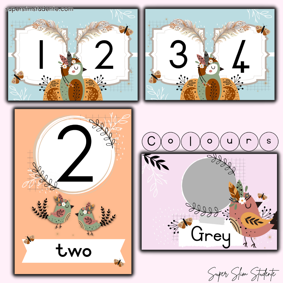 Pastel Boho Birds Classroom Theme (Preschool)