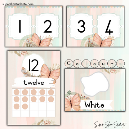 Boho Butterflies Classroom Theme (Foundation Phase)