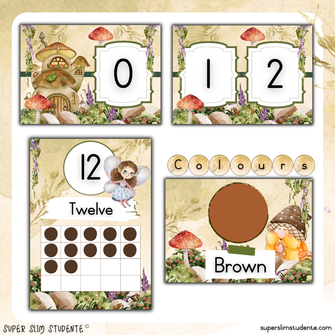 Enchanted Forest Classroom Theme (Foundation Phase)