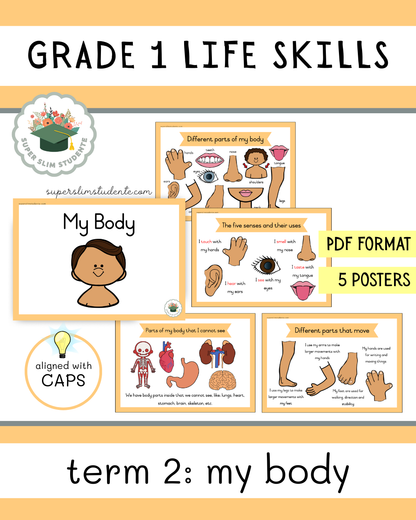 Grade 1 Term 2: My Body [Choose Language]