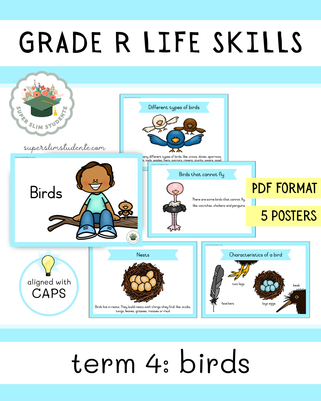 Grade R Term 4: Birds [Choose Language]