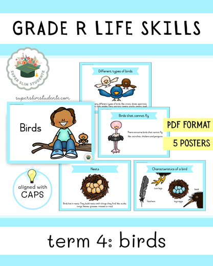 Grade R Term 4: Birds [Choose Language]