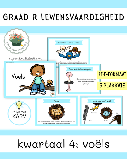 Grade R Term 4: Birds [Choose Language]