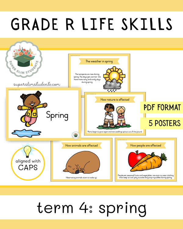 Grade R Term 4: Spring [Choose Language] – Super Slim Studente
