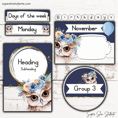 Modern Owl Classroom Theme (Foundation Phase)