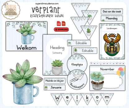 Succulent [Theme Bundles]