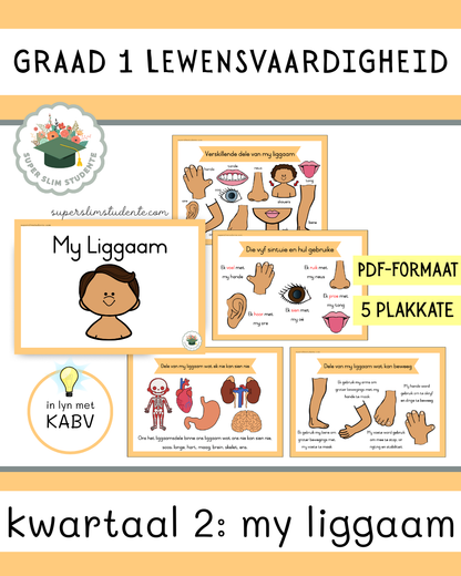 Grade 1 Term 2: My Body [Choose Language]