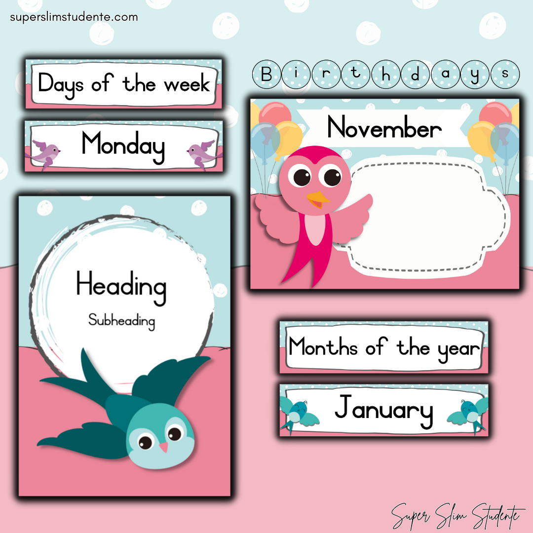 Bird Classroom Theme (Preschool)