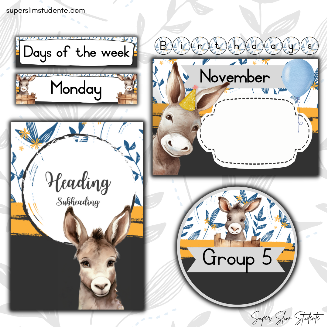 Donkey Classroom Theme (Foundation Phase)