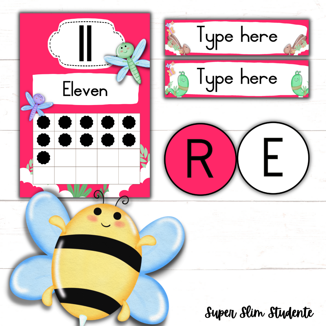 Bugs Classroom Theme (Preschool Version)