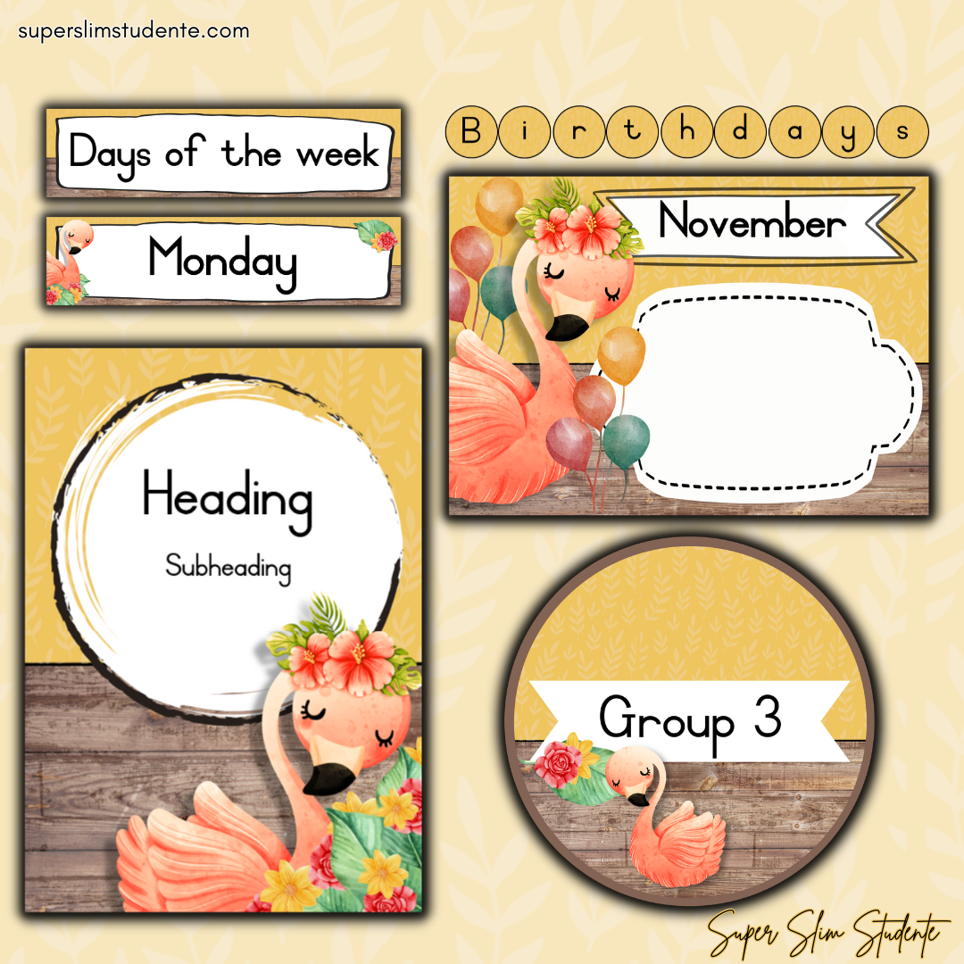 Flamingo Classroom Theme (Foundation Phase)