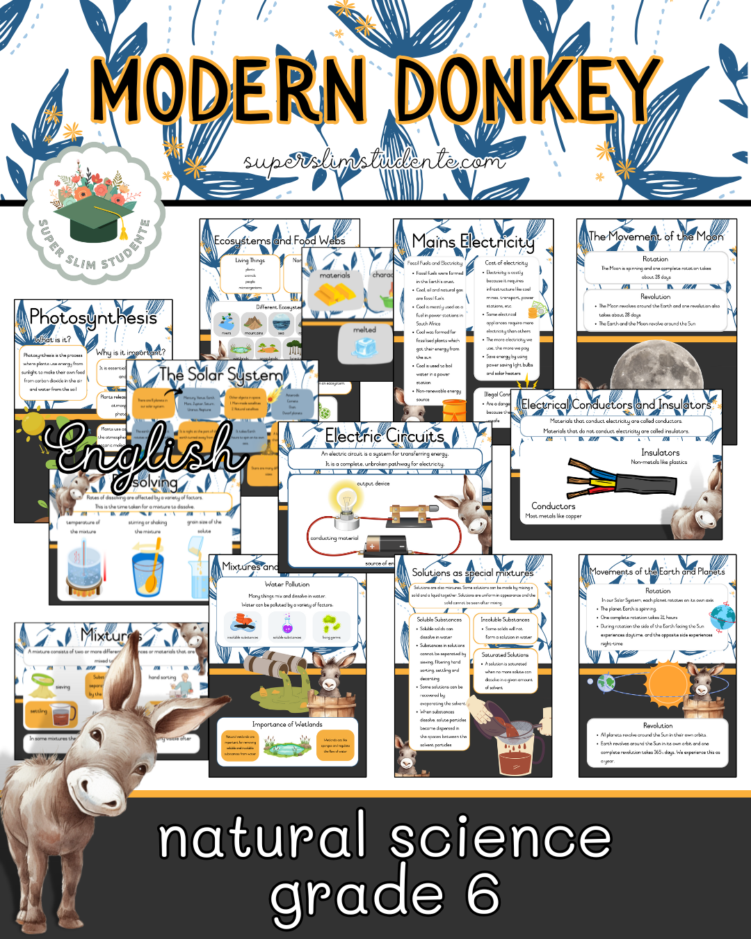 Modern Donkey Theme / NS Grade 6 Bundle [Choose Language]
